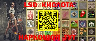 дмт Краснодар