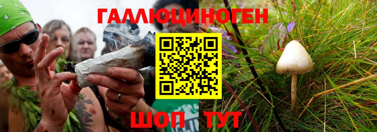 Кириши  купить   Вход с VPN  Псилоцибиновые грибы MAGIC MUSHROOMS 
