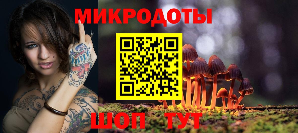 Галлюциногенные грибы Psilocybe Кириши